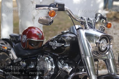 _MG_5564_resultado