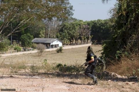 _MG_5947_resultado
