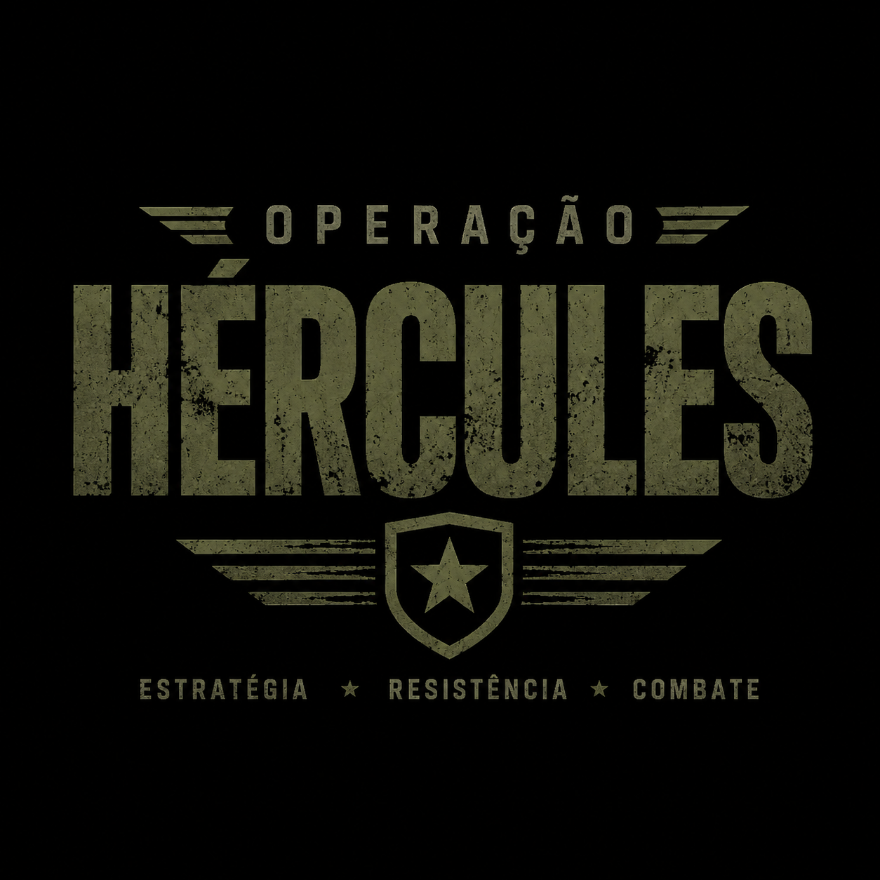 Operação Hércules 5